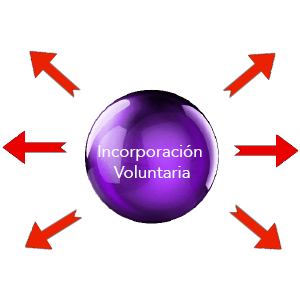 Dispositivos de Seguridad