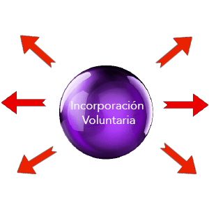 Dispositivos de Seguridad